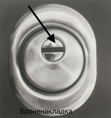 Входная дверь АЛМАЗ -11 Прага Шелк черный /Кипарис темный ЭкоШпон